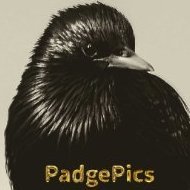 Padge