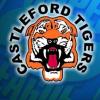Kenilworth Tiger