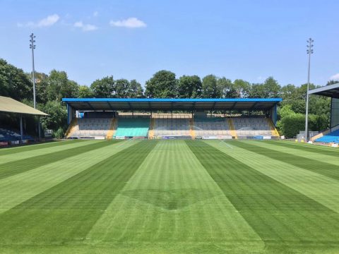 The Shay