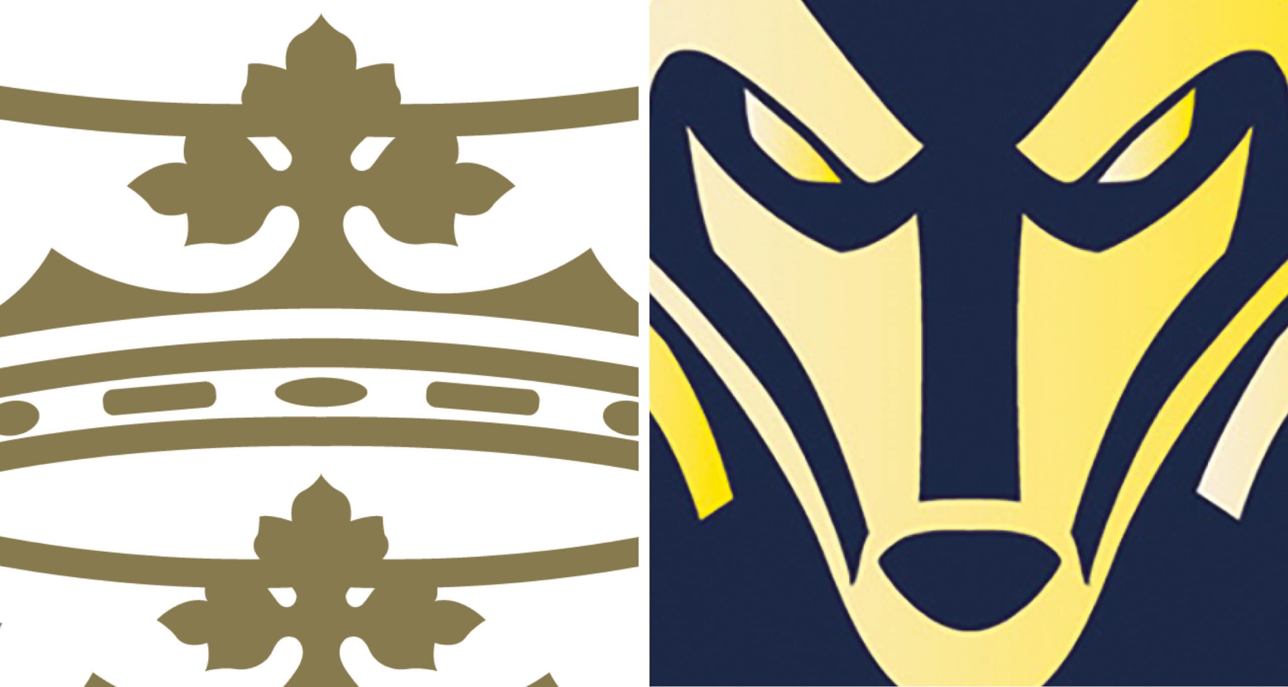 Hull FC v Warrington Wolves preview and 21-man squads