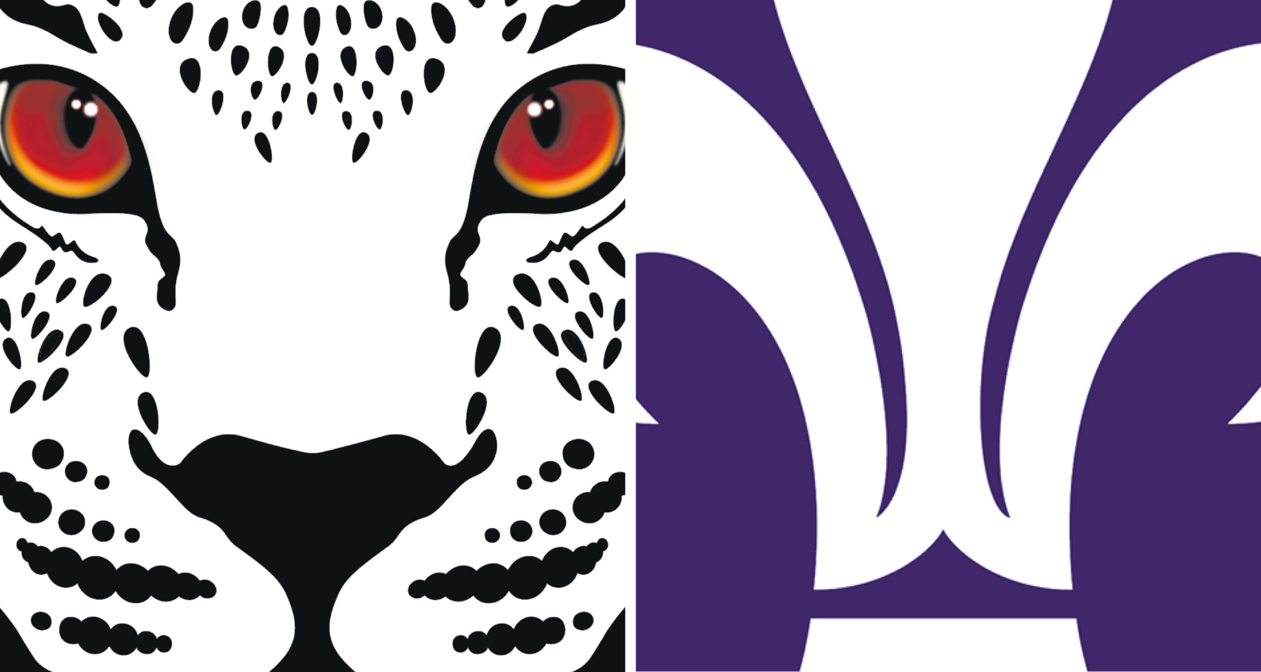 Leigh Leopards v Wakefield Trinity preview and 21-man squads